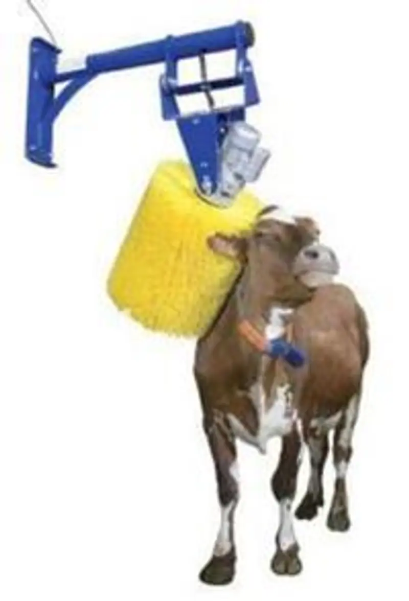 Unique Super Smooth Cow Brush,animal-friendly speed